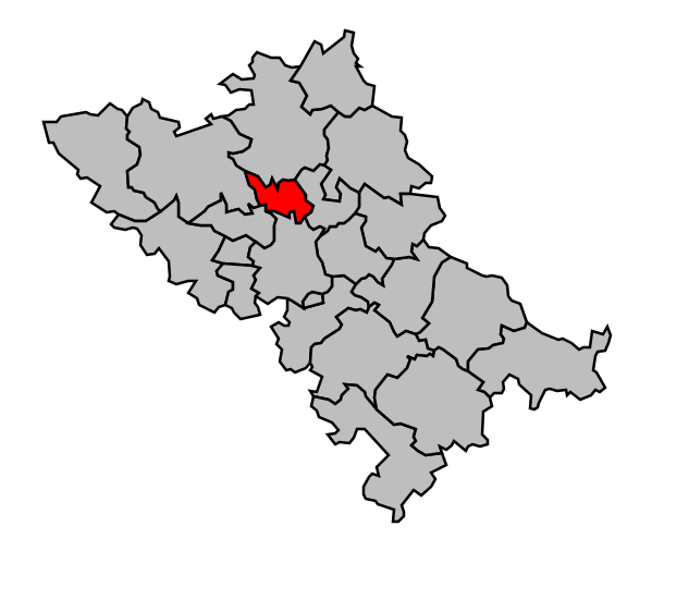 Файл:Map canton code 31 49.svg