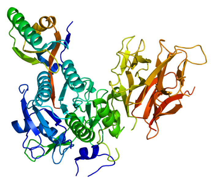 Файл:Protein PCSK9 PDB 2p4e.png