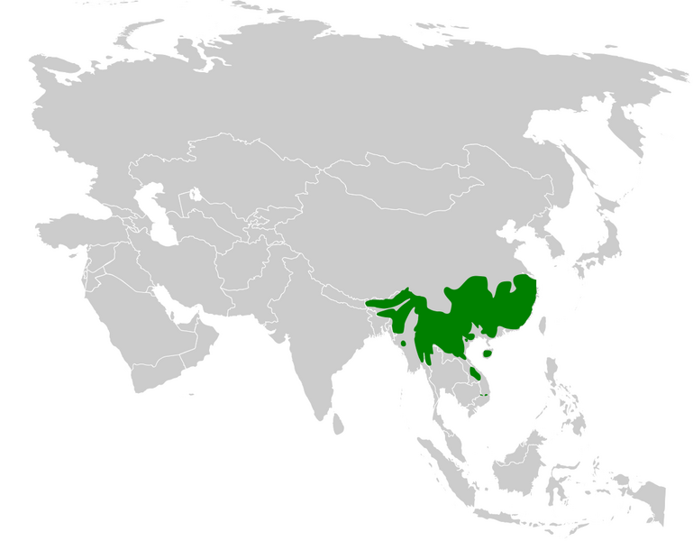 Файл:Psittiparus distribution map.png