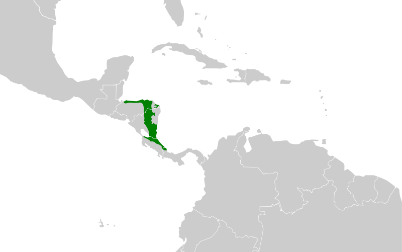 Файл:Carpodectes nitidus map.svg