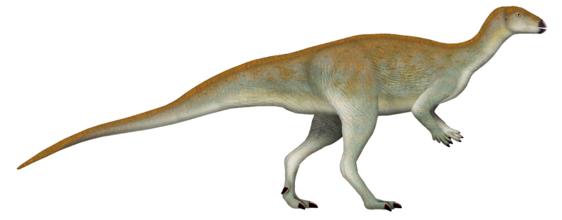 Файл:Chakisaurus TD.png