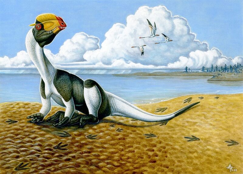 Файл:Dilophosaurus wetherilli.jpg