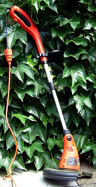 Файл:Rasentrimmer String trimmer DSCF0001.JPG