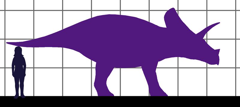Файл:Torosaurus-human size.JPG