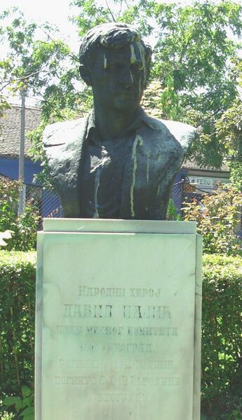 Файл:David Pajić Daka.JPG