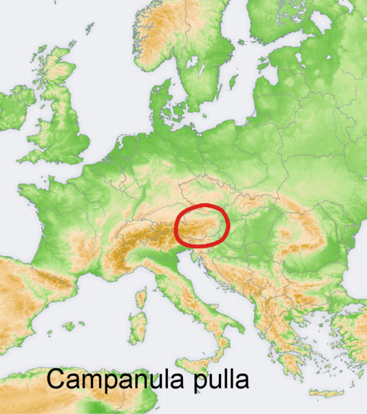 Файл:Distribution map Campanula pulla.png