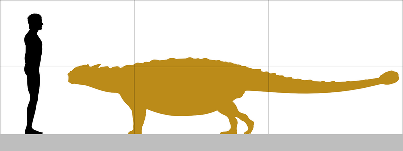 Файл:Talarurus size.png