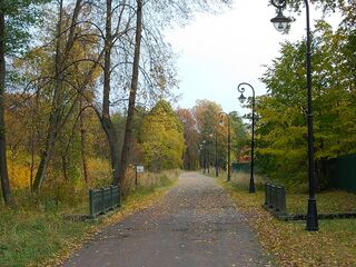 Нижняя дорога в парке Знаменка