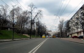 Массив расположен вдоль четной стороны Вышгородской улицы