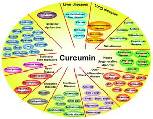 Effect of curcumin on various proinflammatory diseases.