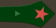 нарукавный знак 1922