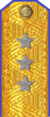 погоны 1943