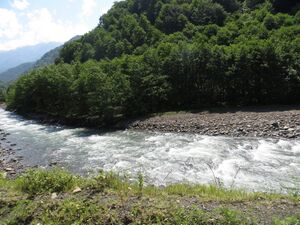 Река Галидзга в Ткварчельском районе