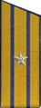 погоны 1956