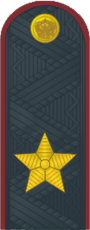 Генерал внутренней службы РФ.png