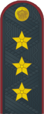 Генерал полковник ФСИН №.png