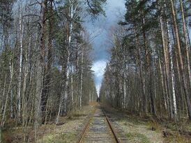 Железная дорога в Ново-Орловском лесопарке
