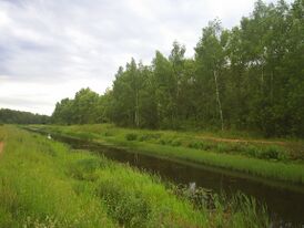 Канал Волга — Уводь в районе Фурманова (лето 2008)