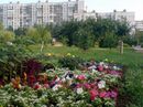 Клумба в саду Ивана Фомина (фото 2011 года).jpg