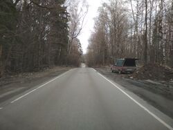 Вид на Липкинское (оно же Челобитьевское) шоссе в Мытищинском районе Московской области