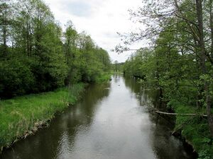 Молчадь в деревне Серафины