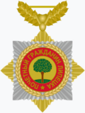 Нагрудный знак «Почётный гражданин Липецка» (2021).png