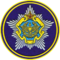 Нарукавный знак командования Военно-воздушных сил и войск ПВО.png