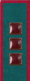 петлица 1924