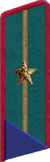 петлица 1937