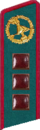 петлица 1937