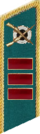 петлица 1940