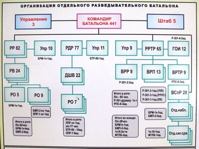 Организационно-штатная структура отдельного разведывательного батальона ВC Республики Казахстан