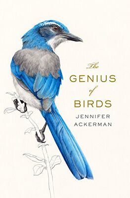 Обложка книги Эти гениальные птицы.jpg