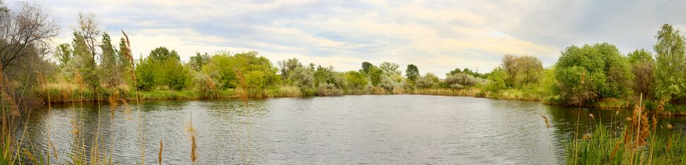 Один из немногих водоемов в экологическом парке Чёрное озеро