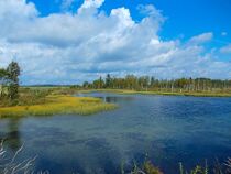 Озеро с родниковой водой в д.Большое Заречье