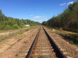 Вид в сторону ст. Лодейное Поле