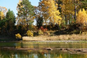 Осенний цвет Китоя - panoramio.jpg