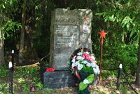 Памятник В. И. Полосухину в начале леса у бывшего Васильковского узла сопротивления немцев, на месте его гибели.