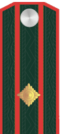 Подполковник РОА.png