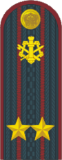 Подполковник ФСИН.png