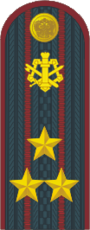 Полковник ФСИН.png