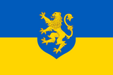 Флаг ЗУНР