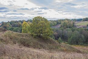 Радомля. Городище. Вторая площадка