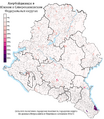 Расселение азербайджанцев в ЮФО и СКФО по городским и сельским поселениям в %, перепись 2010 г.