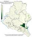 Расселение ногайцев в ЮФО и СКФО по городским и сельским поселениям в %, перепись 2010 г.