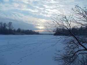 Река Каменка недалеко от устья