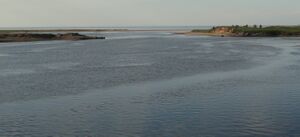 Река в месте впадения в Двинскую губу Белого моря