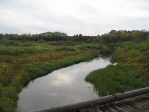 Река Чёлмохта с моста в Клишовщине