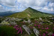 Красивый пейзаж с видом на Говерлу