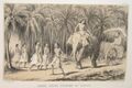 На дороге между Коломбо и Канди, 1848, Lettres sur l’Inde, Paris, Amyot